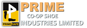 Manufacturer of safety shoes
